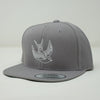 TFF Snap Back Hat