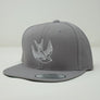 TFF Snap Back Hat