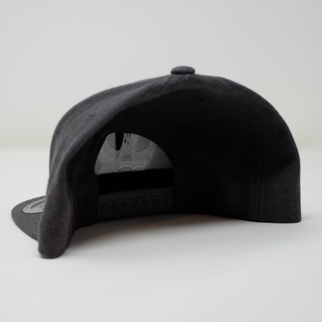 TFF Snap Back Hat