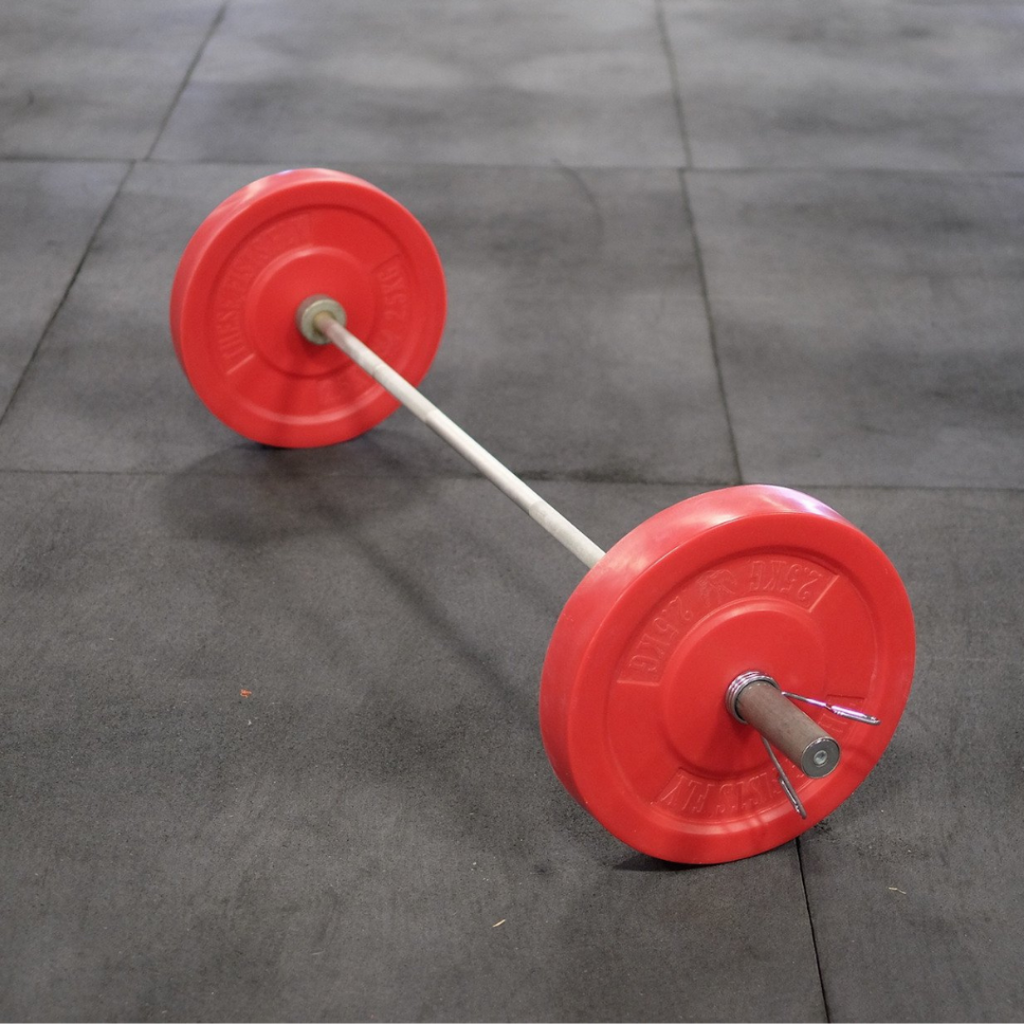 TFF 2.5kg Technique Plate These Fists Fly