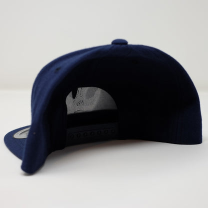 TFF Snap Back Hat