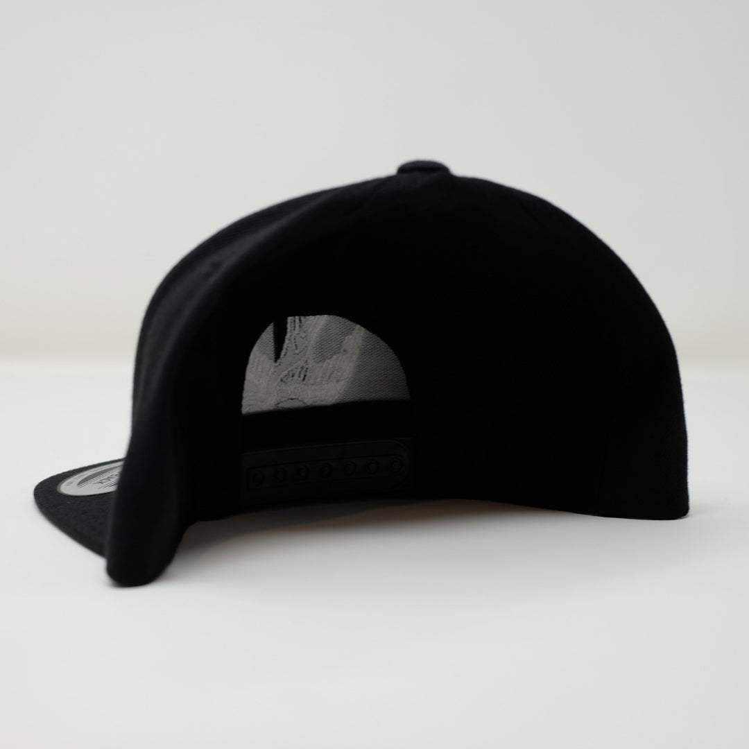 TFF Snap Back Hat
