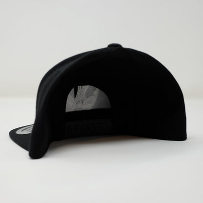 TFF Snap Back Hat