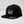 TFF Snap Back Hat